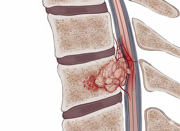 Prof Dr. Serdar Baki Albayrak