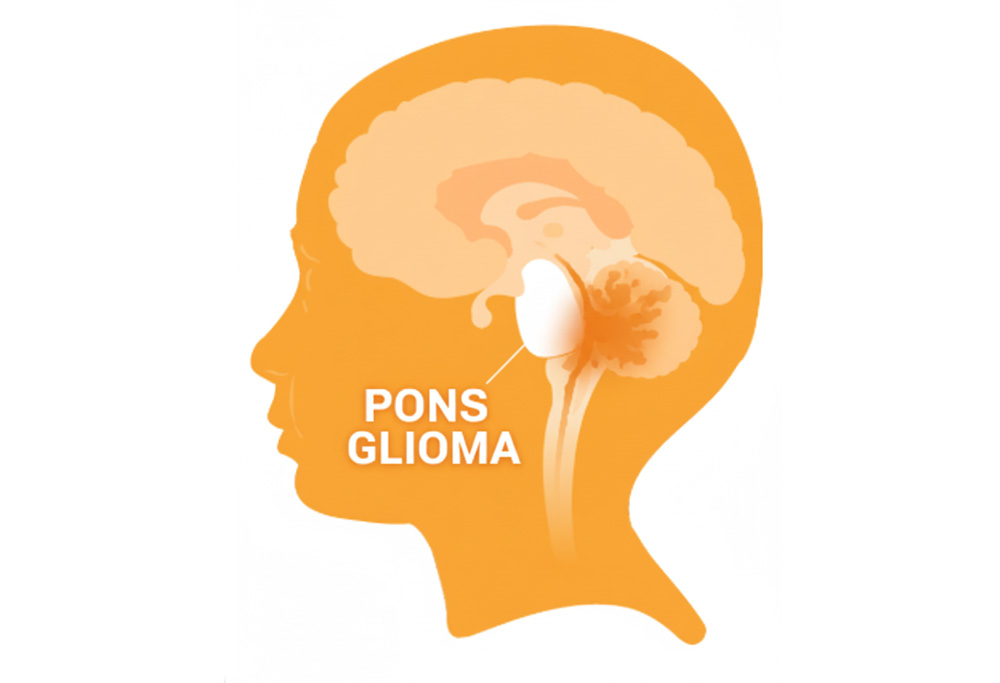 Prof Dr. Serdar Baki Albayrak